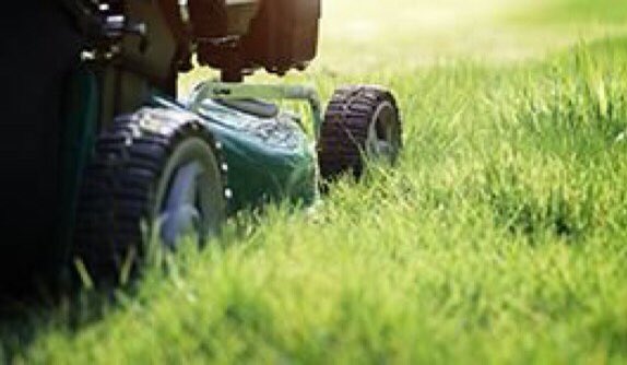 homespares's tweet photo. We are not just about #spares and #consumables for the #Home. Our range of #Garden and #Outdoor covers all your #gardenpowertools, #cleaning, #storagesolutions, #greenhouse spares and accessories and #PersonalProtectiveEquipment.
#Bolton #Manchester
https://t.co/fiOUYbKmz2 https://t.co/ktrvFDYzui