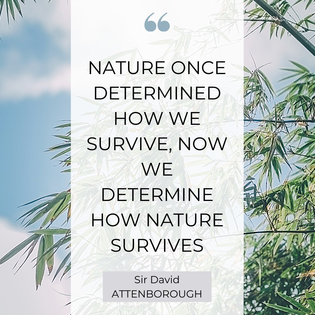 Tribaldataapp's tweet photo. May we learn the lesson and act now.

#yourdataforgood #nature #environment #sustainable #sustainability #sustainableliving 
#planet #theresnoplanetB #ecosystems https://t.co/PHH4bTUS0v