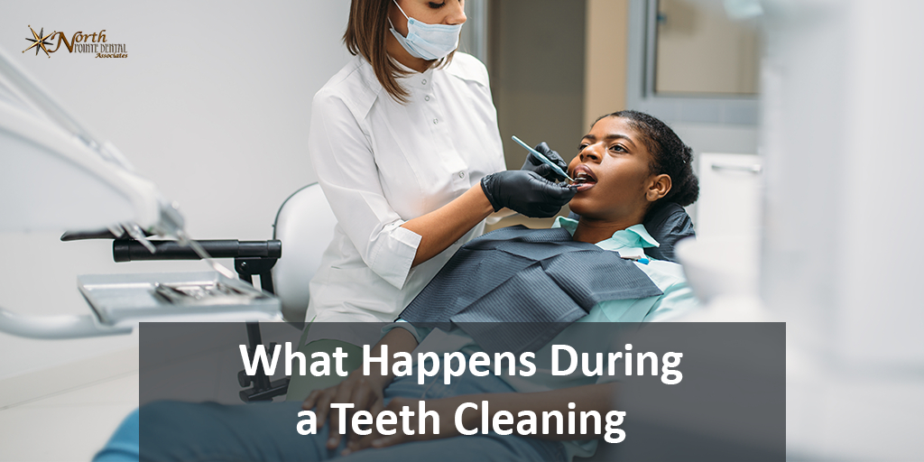 olgakovack's tweet photo. What Happens During a Teeth Cleaning?
https://t.co/lGdllmXlpC https://t.co/1cb1nyiMf8