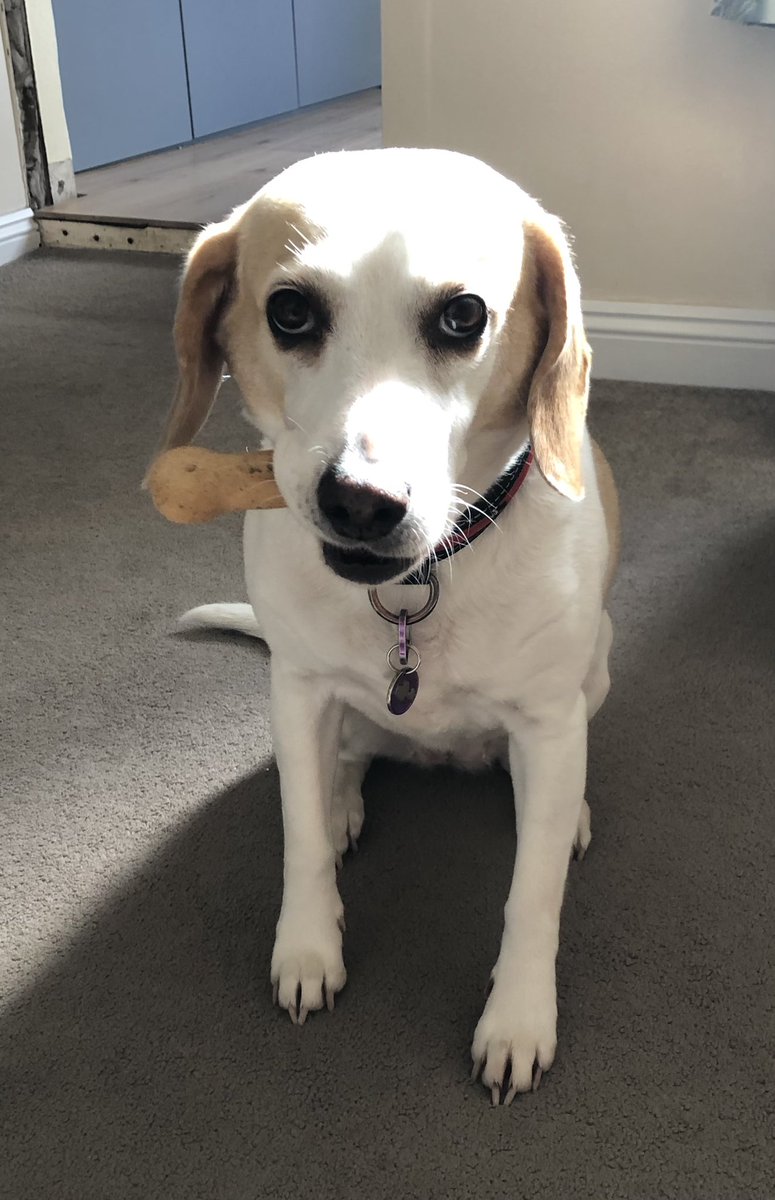 Print 365 tweet media