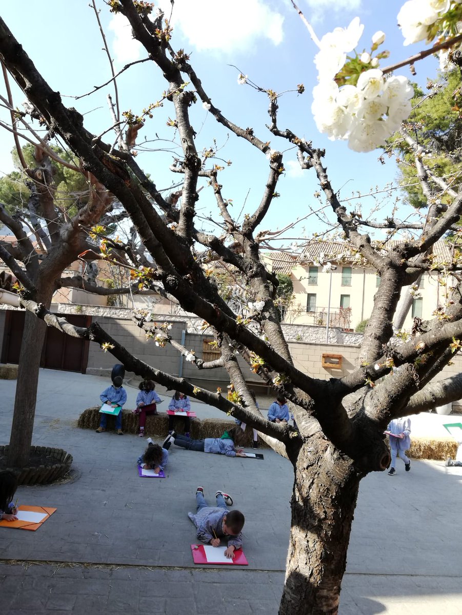 vedrunacent's tweet photo. Dibuixem les flors del cirerer...
La primavera ja ha arribat! #2PRIMSSCC https://t.co/GWS02EHSuc