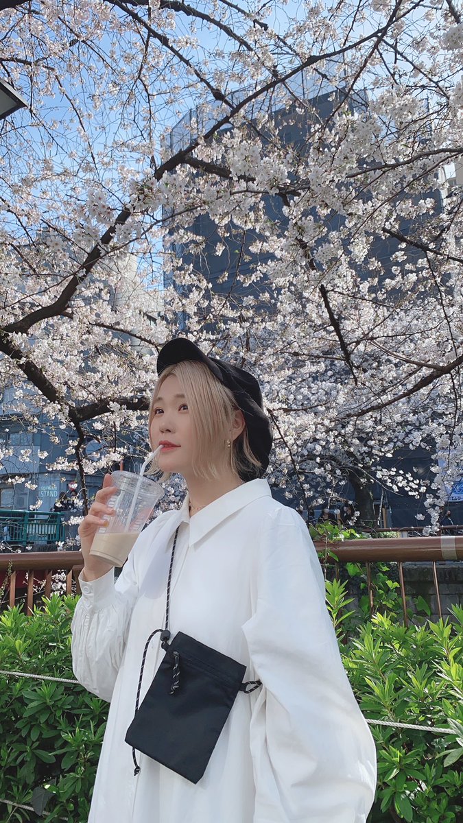 harami_piano's tweet photo. お仕事向かってたら春があった。
せっかくだしマスク外して春をおさめた。

🍃🌸

......

＼( 'ω')／ﾋｨﾔｯﾊｧｧｧｧｧｧｧｱ!!!!!!
カフンガヤバイゼェェァェェェェ!!!!!
クシャミトマラナイゼェェェェ!!!!!! https://t.co/hAj98WIg2D