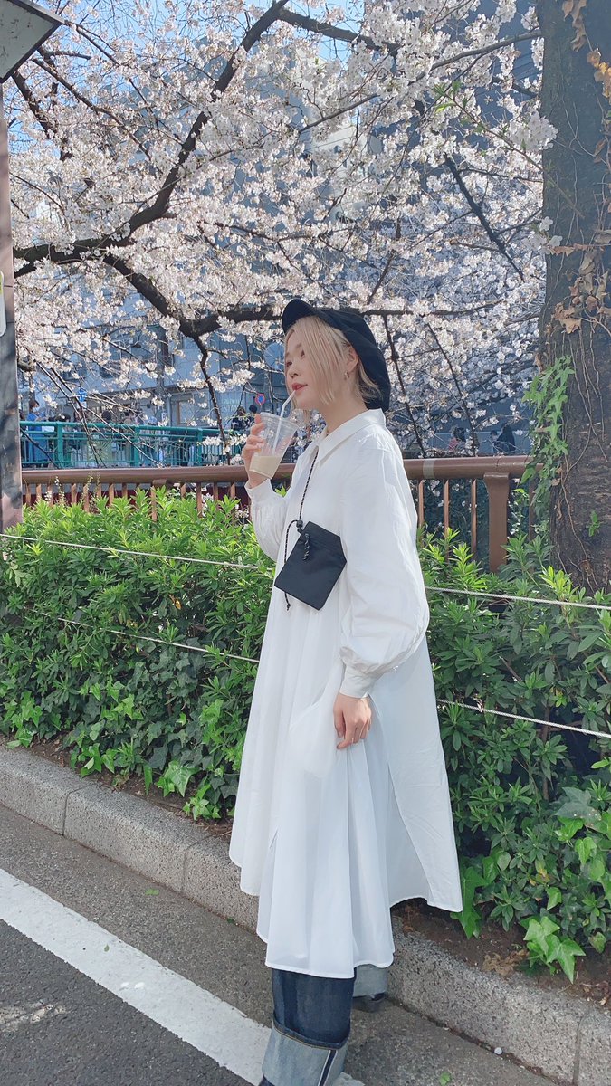 harami_piano's tweet photo. お仕事向かってたら春があった。
せっかくだしマスク外して春をおさめた。

🍃🌸

......

＼( 'ω')／ﾋｨﾔｯﾊｧｧｧｧｧｧｧｱ!!!!!!
カフンガヤバイゼェェァェェェェ!!!!!
クシャミトマラナイゼェェェェ!!!!!! https://t.co/hAj98WIg2D