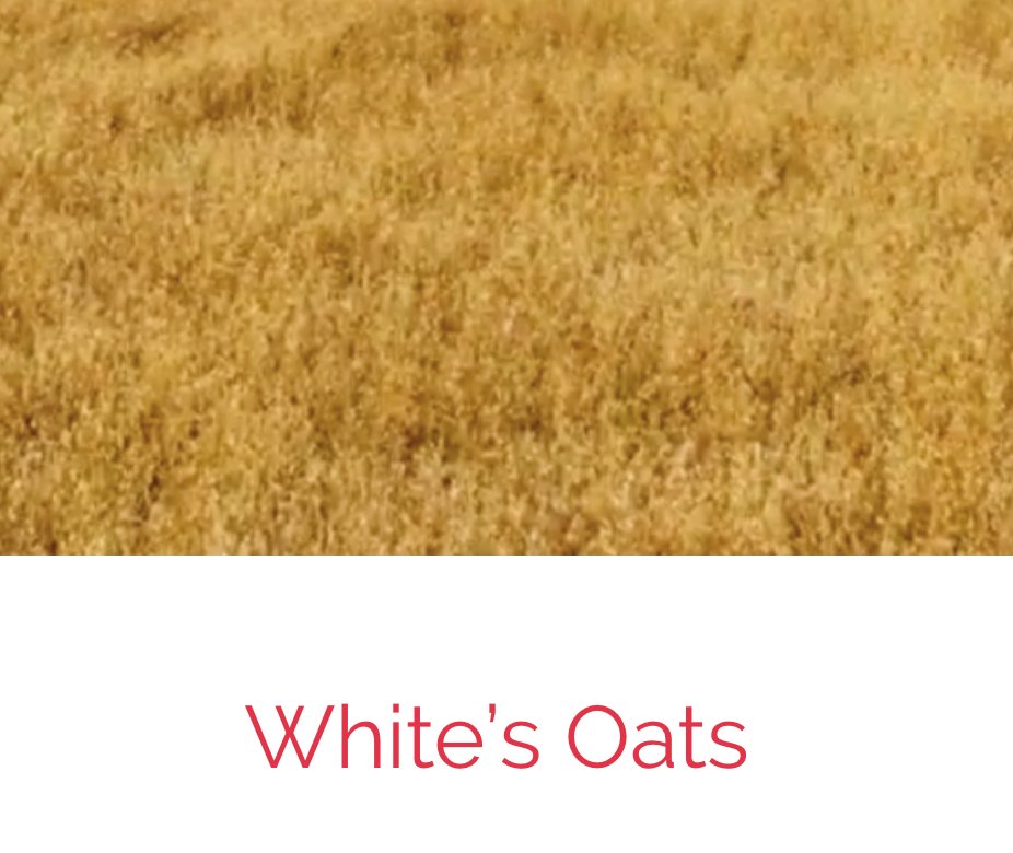 FeelAgency's tweet photo. Building the brands we believe in means a commitment to sustainability - brands like @TidefordOrganic and @WhitesOats that put organic farming at the heart of their products are part of a push towards a green, sustainable future
https://t.co/d5OuazTZWO https://t.co/vi4uF29mAQ