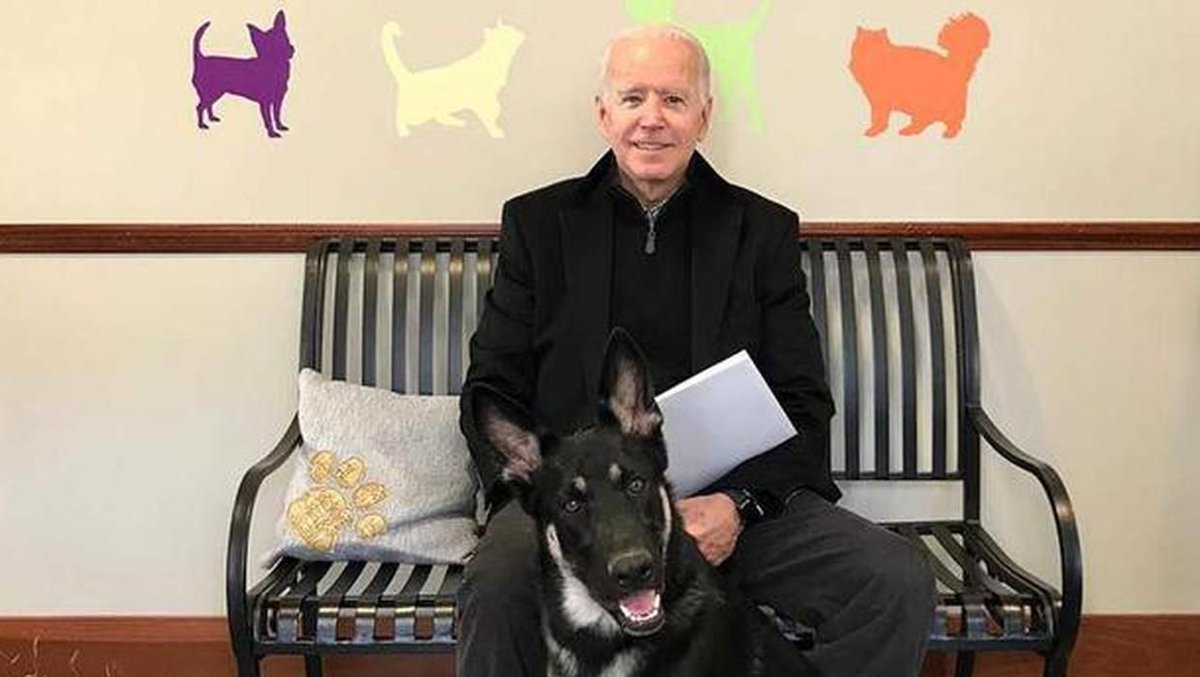 US President Joe Biden’s dog Major returns to White House after biting incident 