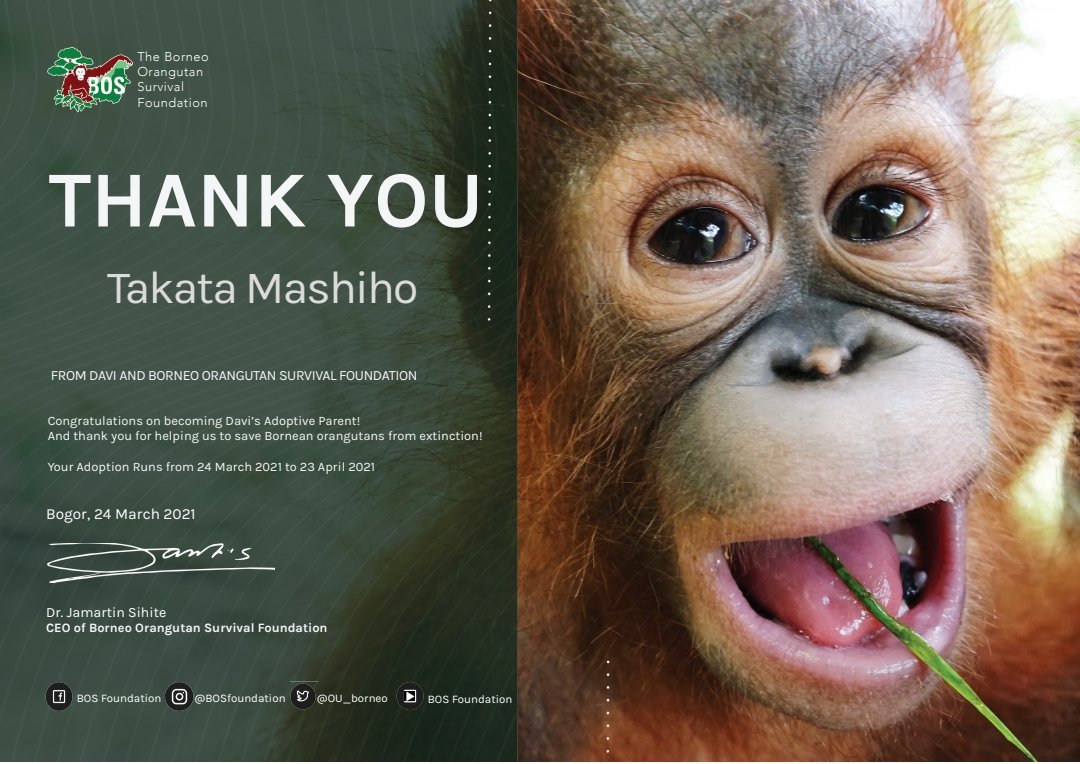 A new baby Orangutan, Davi, comes to our family with Takata Mashiho as her adoptive parent for the next 1 month. This is to celebrate his 20 yo. I hope you will shine as always. 
#永遠に輝く星マシホ
#ShiningAceMASHIHOday
#우리인생의봄_마시호_생일축하해
<a href="/treasuremembers/">TREASURE</a>
