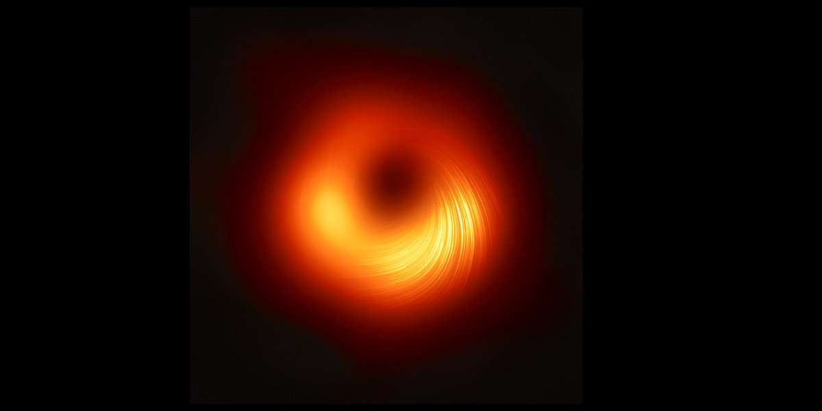 We're back and we've added polarization sprinkles to our M87 black hole donut! They are nicely ordered in a spiral structure, and help us map out the magnetic fields near the event horizon for the very first time! #MagneticBlackHole #EHTblackhole @ehtelescope @BlackHoleCam