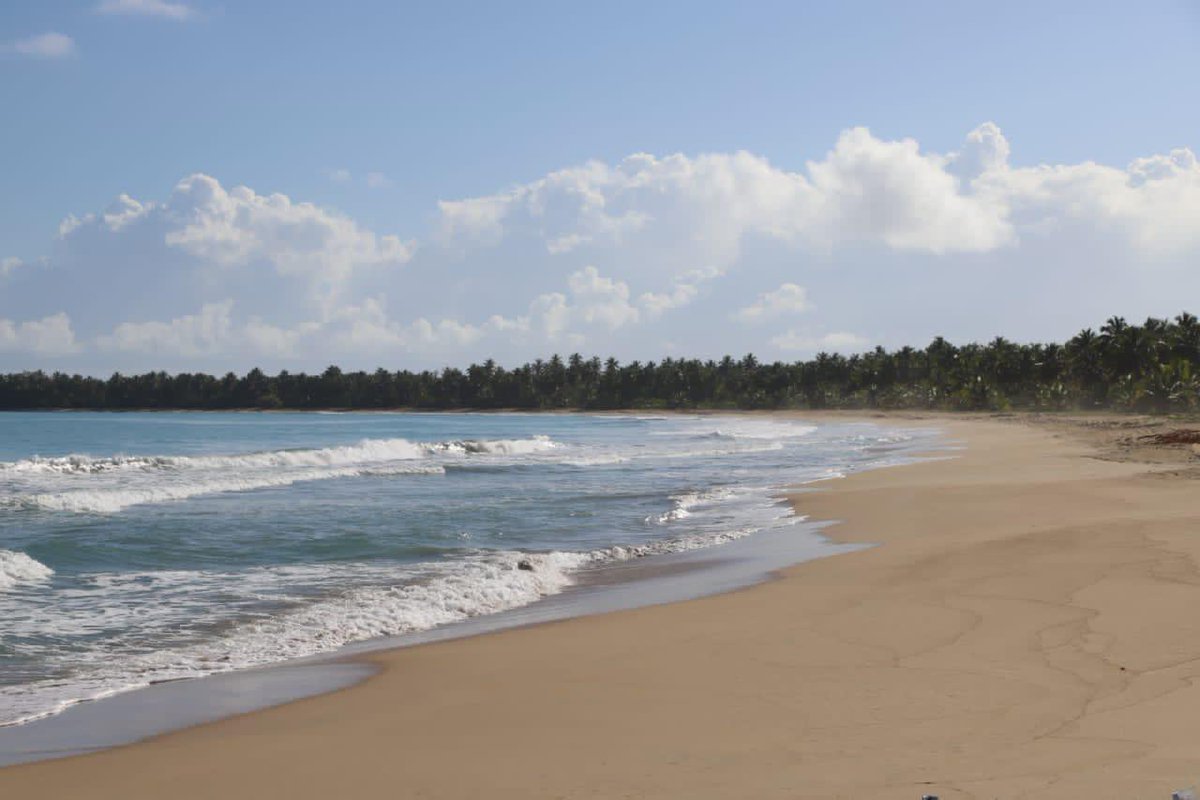 PresidenciaRD's tweet photo. ¡Miches! 😍 Un destino único que ofrece un ecosistema inconfundible, de bellezas naturales que conectan con sus majestuosas playas de arena blanca y abundante vegetación, ubicado en la provincia El Seibo. Hoy lo visitará, el Presidente @LuisAbinader. 

#EstamosCambiando https://t.co/UQaEXBFaTQ