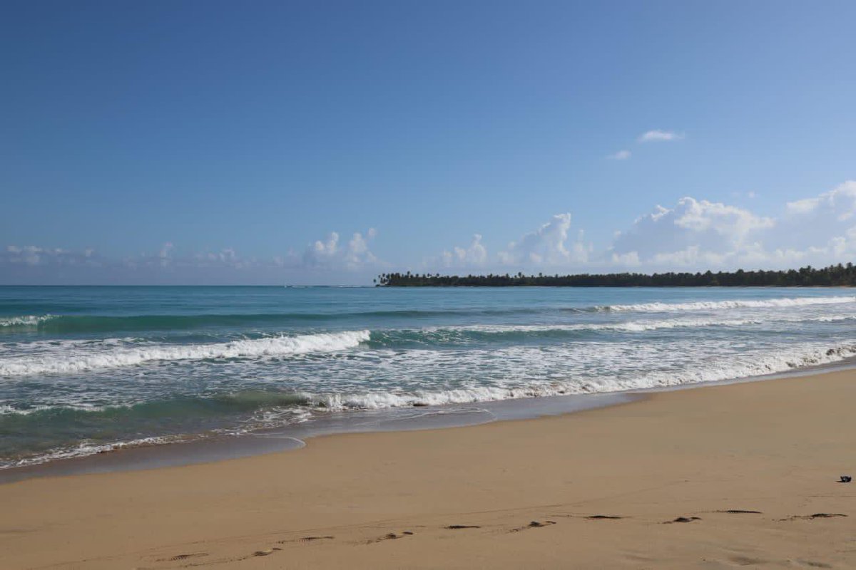 PresidenciaRD's tweet photo. ¡Miches! 😍 Un destino único que ofrece un ecosistema inconfundible, de bellezas naturales que conectan con sus majestuosas playas de arena blanca y abundante vegetación, ubicado en la provincia El Seibo. Hoy lo visitará, el Presidente @LuisAbinader. 

#EstamosCambiando https://t.co/UQaEXBFaTQ