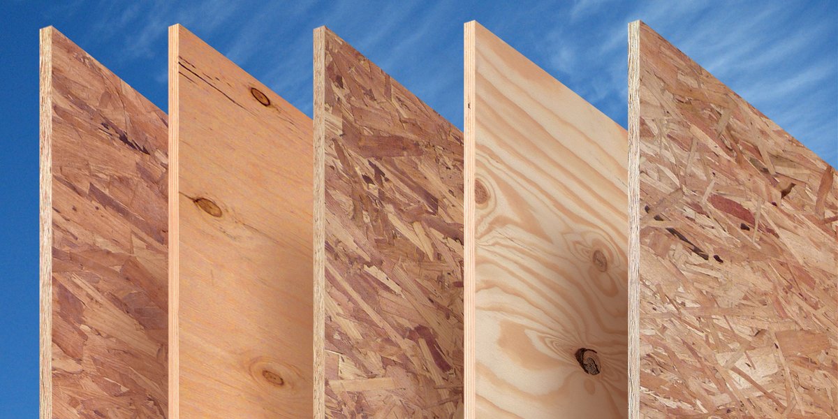 APAwood's tweet photo. Plywood or OSB? We discuss the differences between wood panel types to help you choose the one that’s right for the job > https://t.co/KhEgZxBhl2
#Plywood #OrientedStrandBoard https://t.co/tTN0a944eL