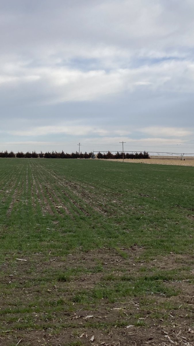 Johnny D tweet media