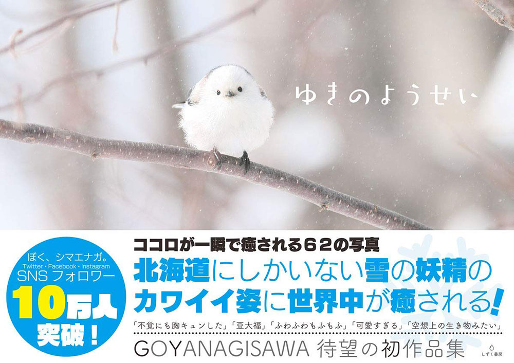 ぼく シマエナガ Daily Simaenaga Twitter ぼく シマエナガ Daily Simaenaga Twitter