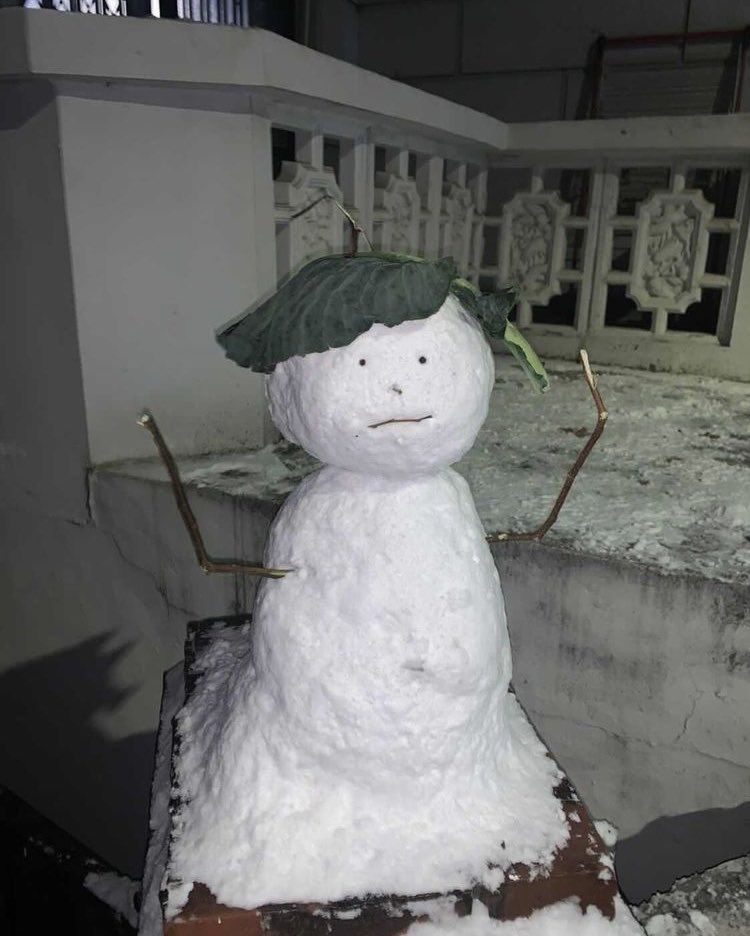 wearemurfin's tweet photo. Snow gentle-man with kale hat https://t.co/ahGjhbSJmA