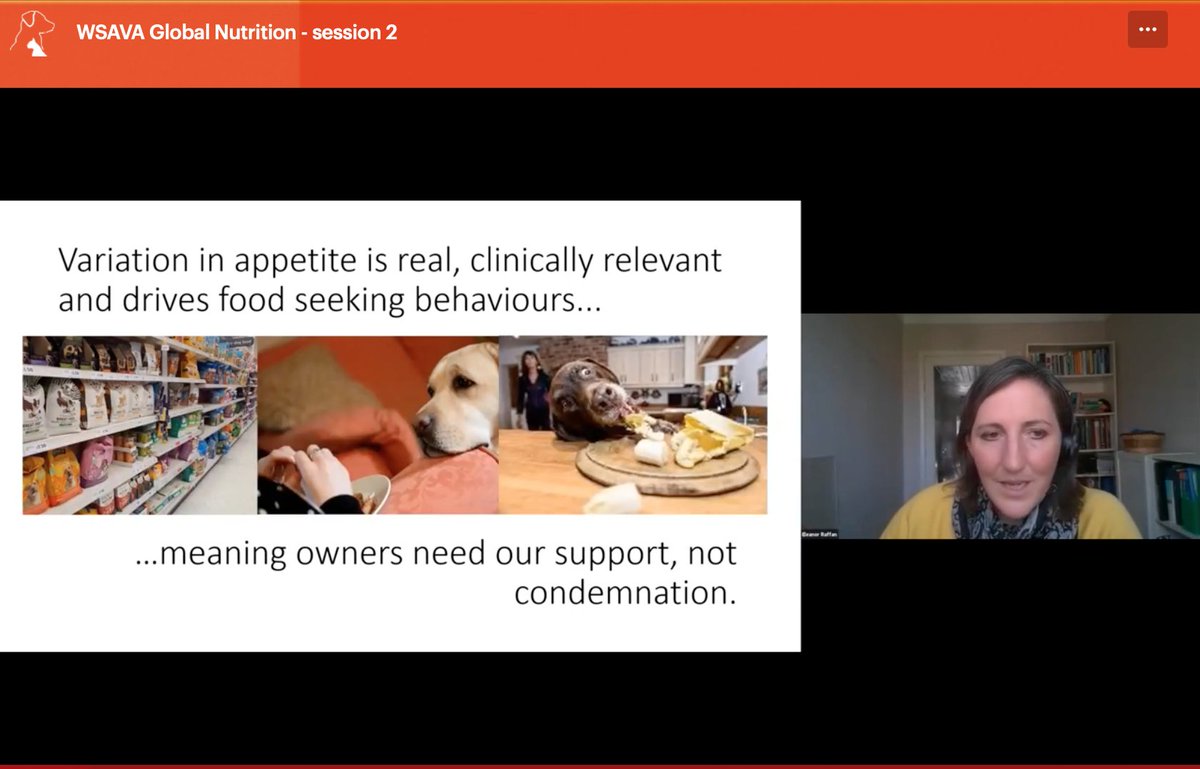 emmamilnethevet's tweet photo. Interesting talks from @EllieRaffan on obesity in dogs. You might be interested in her DORA questionnaire which assesses how food motivated dogs are. Summary slide is worth us all reflecting on. Remember that obesity leads to reduced pet lifespan so keep them slim! #wsavapoland https://t.co/XUZRpCLLoe