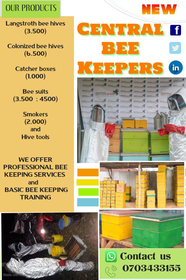 benard_kiruthu's tweet photo. 🐝🐝KARIBU CENTRAL🐝🐝
THREAD👇👇👇
▶️ ONE of the logical solutions to under-employment, environmental degradation and eradicating poverty in most rural areas is #bee_keeping... @mkulimayoung @Farm_Pesa @kilimoKE @Agri_FinanceKe @USAIDKenya @Ma3Route @BidcoGroup https://t.co/aO8S6DR5Mr