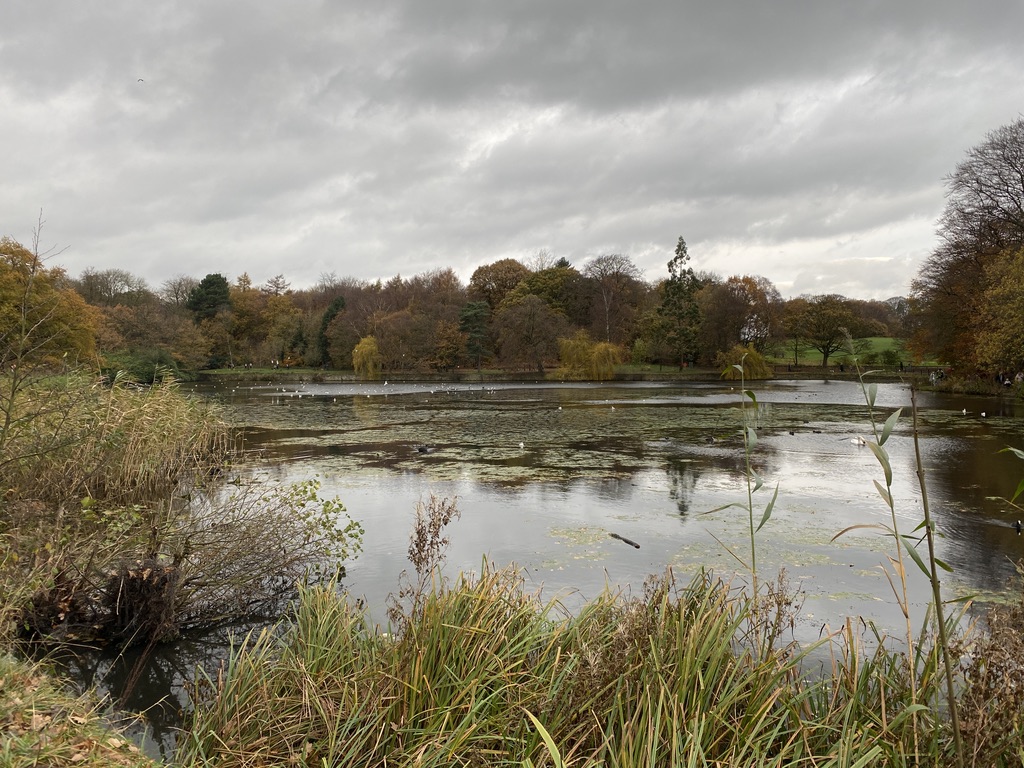 Looking for a walk this week? look no further! Check out our Roundhay Park and Shadwell Route
#mentalhealthmatters  #mentalwellbeing #physicalhealth #getoutdoors #outdooradventures #getoutside #walking #hiking #gettingout #mentalhealth #yorkshirewalks
facebook.com/WhiteFoxWalkin…