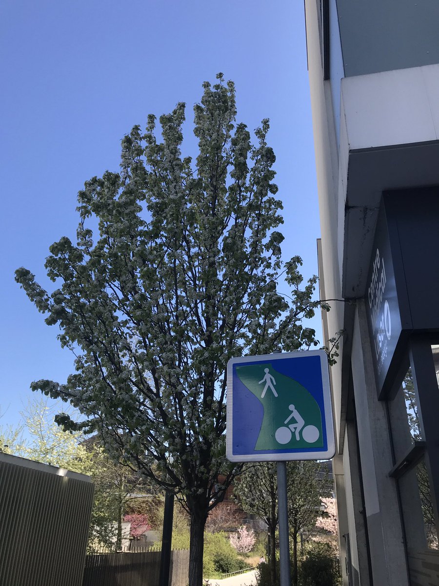 borderouge's tweet photo. Un beau jour de printemps #Toulouse #borderouge @borderouge https://t.co/hFyakWRep7