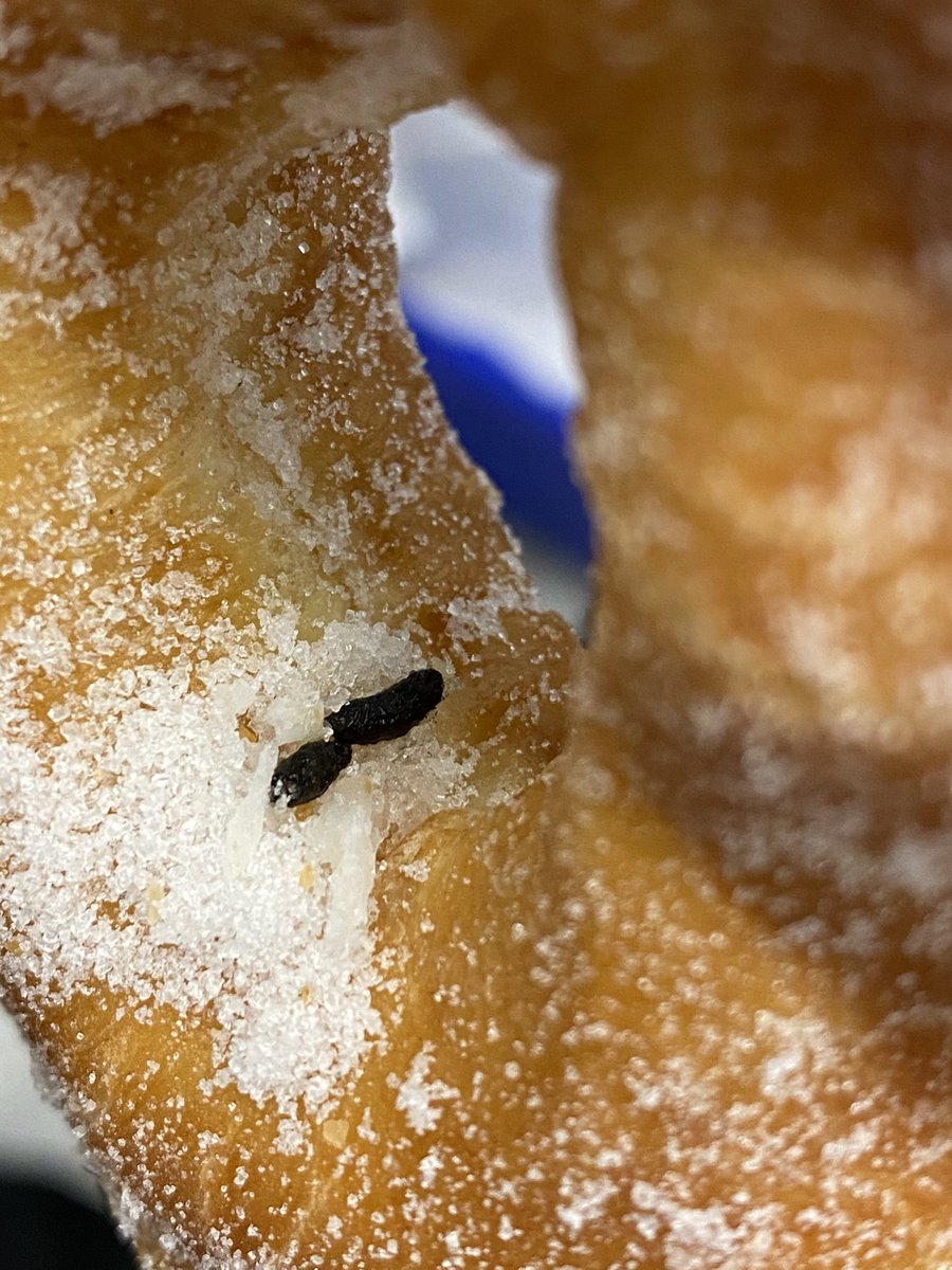 teska428's tweet photo. @dunkindonuts ummm please ask your hillside Illinois location WTF is this !!!!!! Looks like mouse shit!!!! https://t.co/NAD7iWPC3C