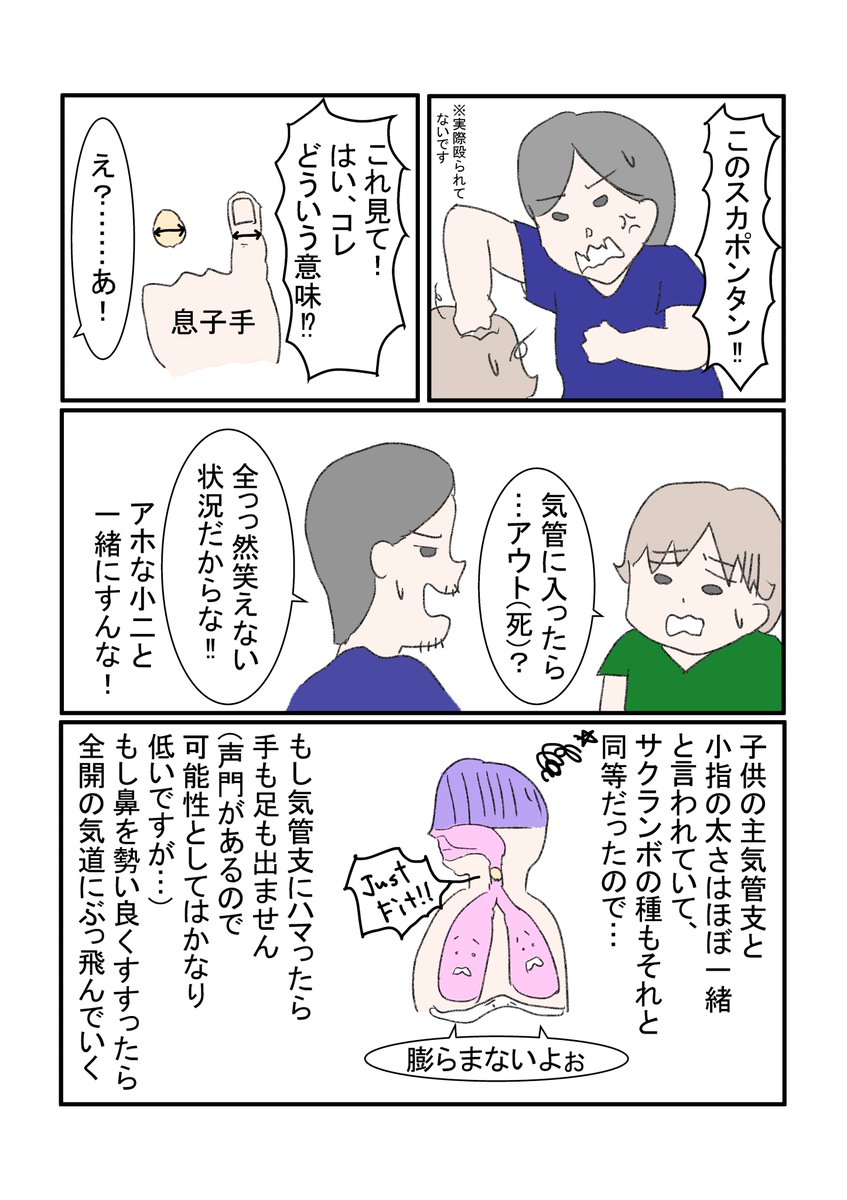 サクランボ事件その②
今思えば笑い話なんだけど、なかなかにヤバい状況だったと思う。
#育児漫画 #育児絵日記 #サクランボ