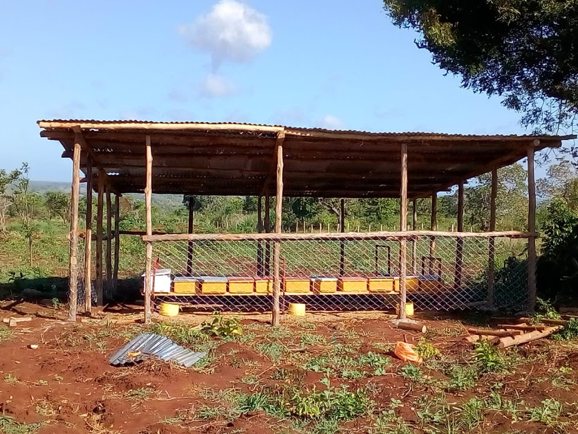 benard_kiruthu's tweet photo. 🐝🐝KARIBU CENTRAL🐝🐝
THREAD👇👇👇
▶️ ONE of the logical solutions to under-employment, environmental degradation and eradicating poverty in most rural areas is #bee_keeping... @mkulimayoung @Farm_Pesa @kilimoKE @Agri_FinanceKe @USAIDKenya @Ma3Route @BidcoGroup https://t.co/aO8S6DR5Mr
