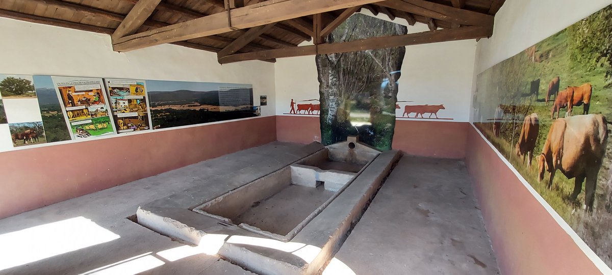 ayunvaldetera's tweet photo. Lavadero del Arrabal de Valdeavellano de Tera
Actualmente, los interiores de estos los lavaderos cumplen una función didáctica para los turistas que los visitan, cada uno ofrece una temática diferente. El lavadero del Arrabal recoge los paisajes usos y costumbres de la región. https://t.co/bp8iyQzzud