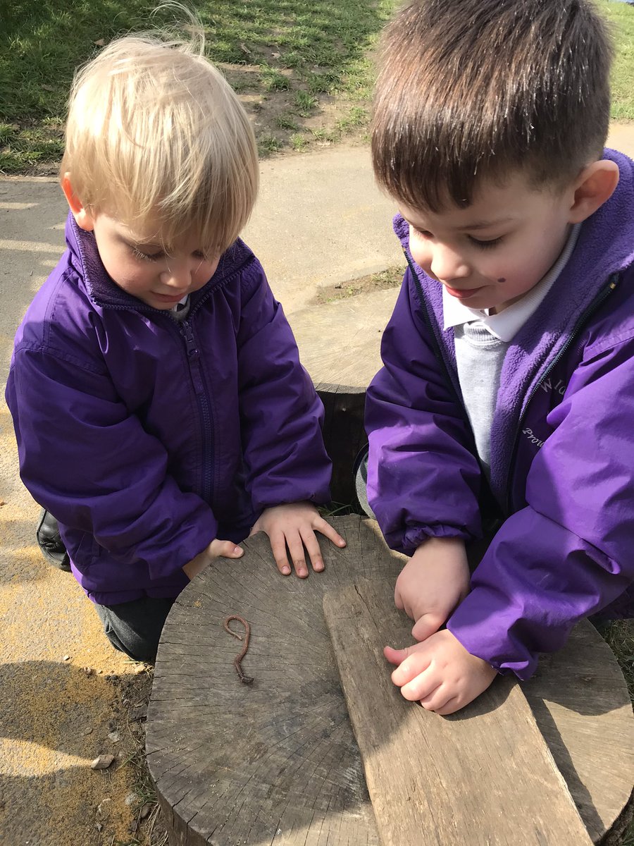 Mrs Fletcher Wayfield Primary School 2 Year Olds tweet media