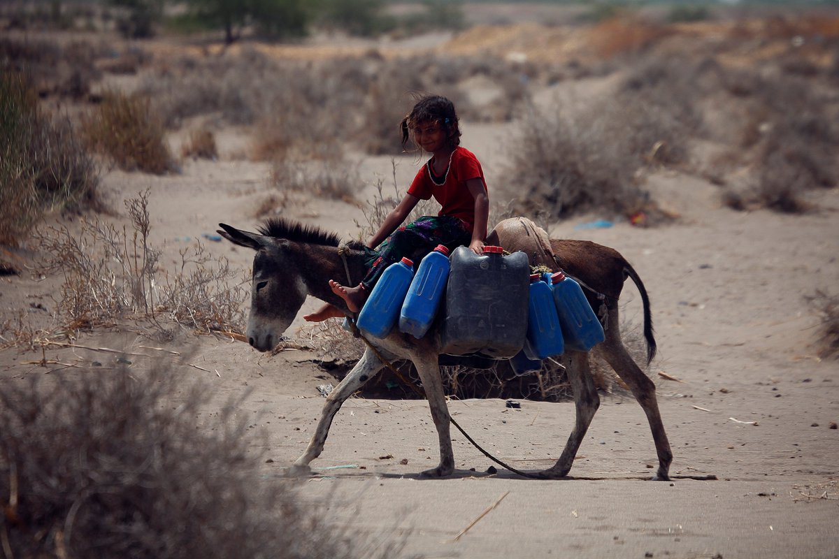 UNDPYemen's tweet photo. "#SIERY’s unique approach endeavours to go beyond the traditional scope of support...focusing on trust-building, #ClimateAction, addressing 🧑‍🤝‍🧑 displacement, &amp; supporting local economic dev," @AukeLootsma. 

@UNDP &amp; @EU_Partnerships NEW Project 👉https://t.co/FUbforFkeR https://t.co/cJ2UOXFGZG