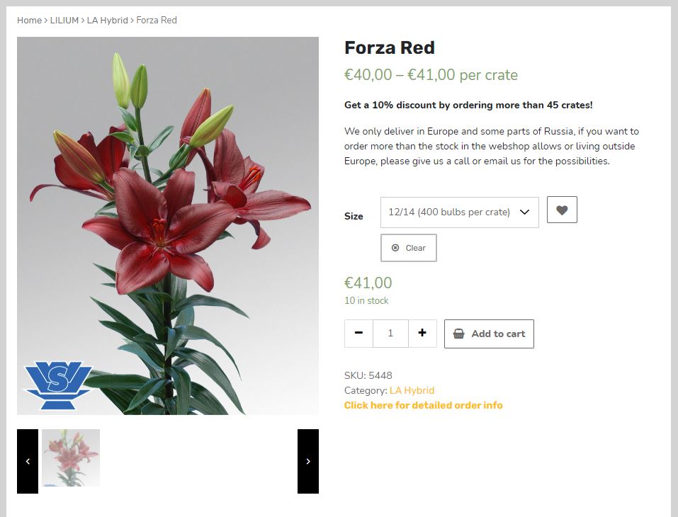 Today's highlight of our webshop: Forza Red. Have a look at the latest availability and varieties we can offer you. If you have any questions, please let us know. 

vws-flowerbulbshop.com/product/forza-…

#flowerbulbs #shoppingtime #musthave #promo #flowers #gardenlife #buyonline #shopping