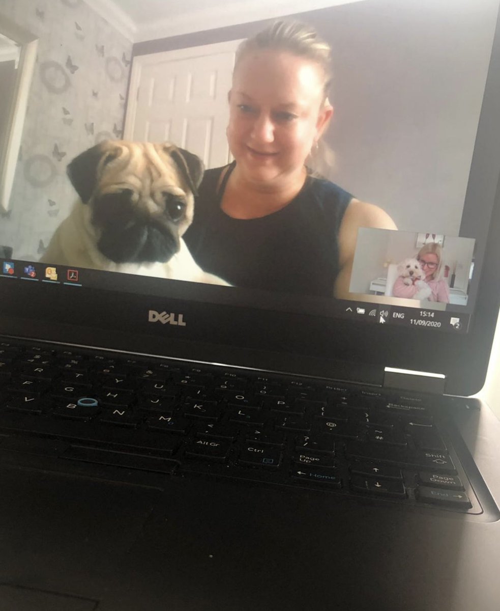 emmalbijoux's tweet photo. Ha ha it looks as though Lola gets around ๐พ #bringyourdogstowork @clairelv74 https://t.co/66upJe51DG