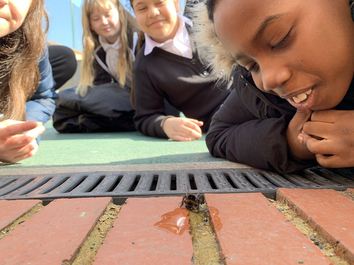 Trying to help a bumble bee at playtime l;  giving it some sweet water <a href="/WoodhillSch/">Woodhill Primary School</a>