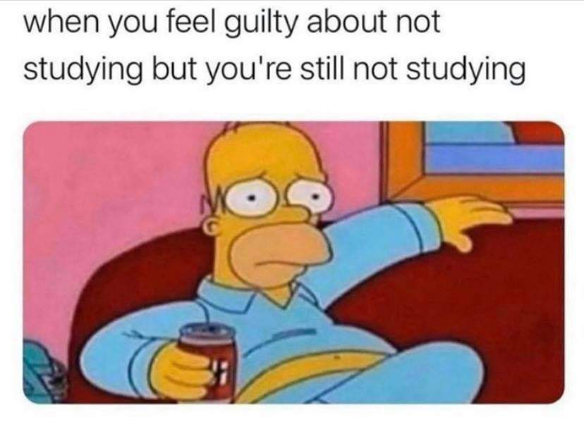 myunclesmemes's tweet photo. Me irl https://t.co/LKY1uKrygw