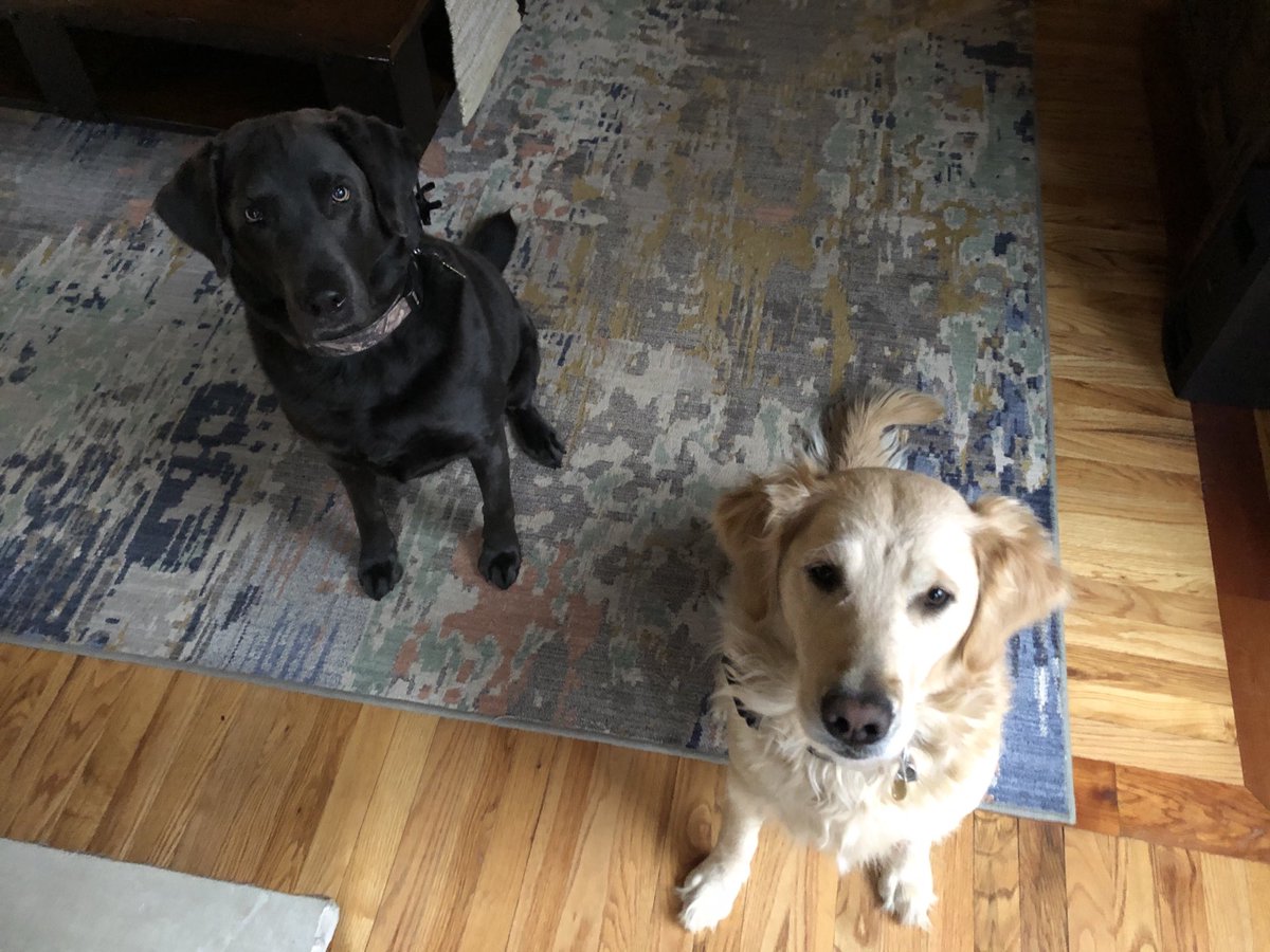 Jon Tallamy tweet media