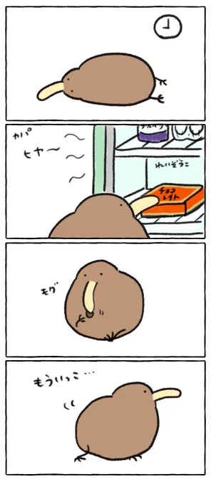 夜中に小腹が空いてチョコをつまんじゃうキーウィ 