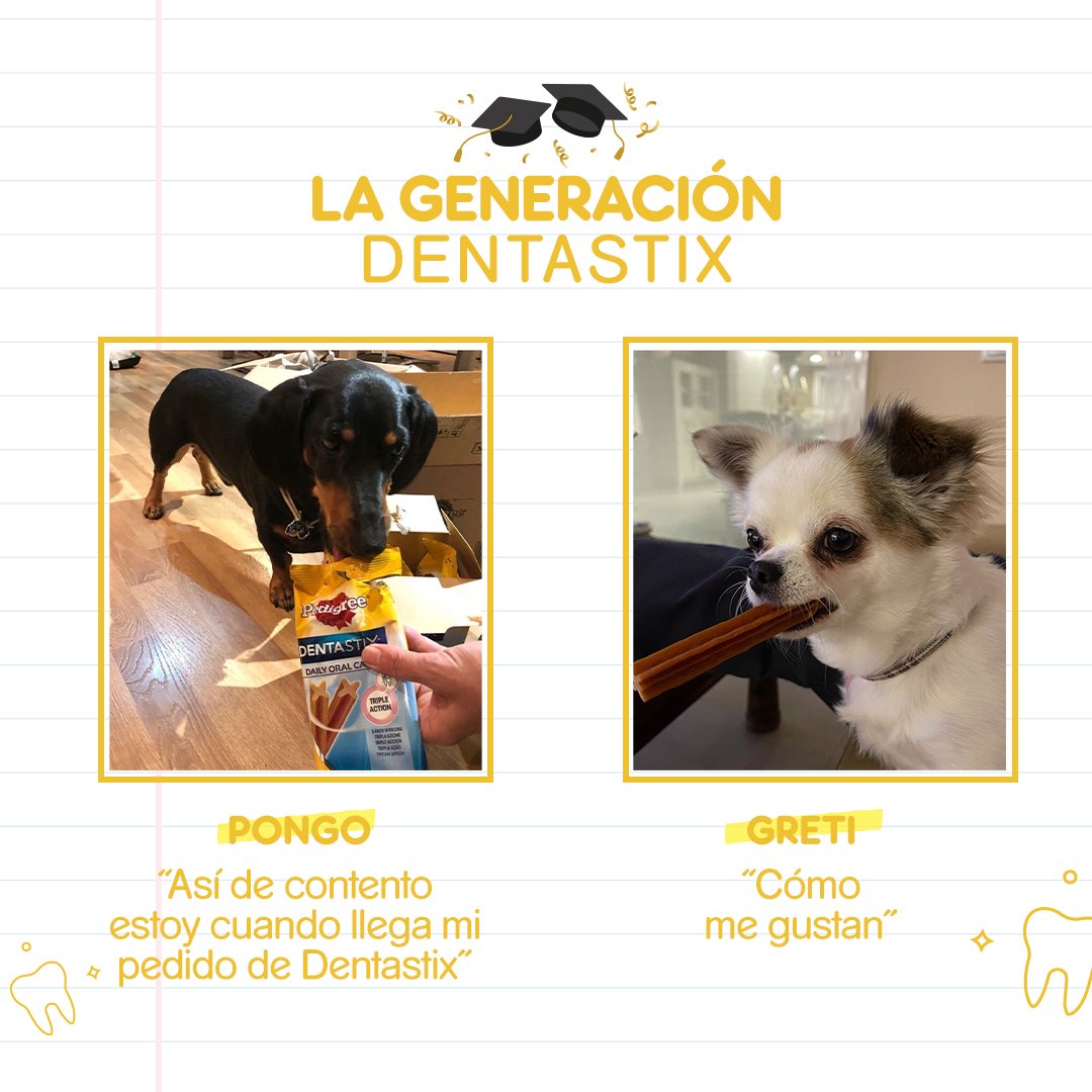 Pedigree ES tweet media