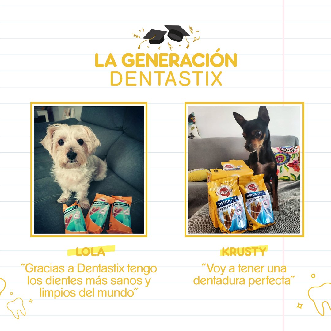 La generación Dentastix es el nombre con el que se conoce a todos aquellos perretes que tienen una sonrisa sana. 

Como @lola_bollito, @gretirubini, @pongoteckel y @krusty_eltity.