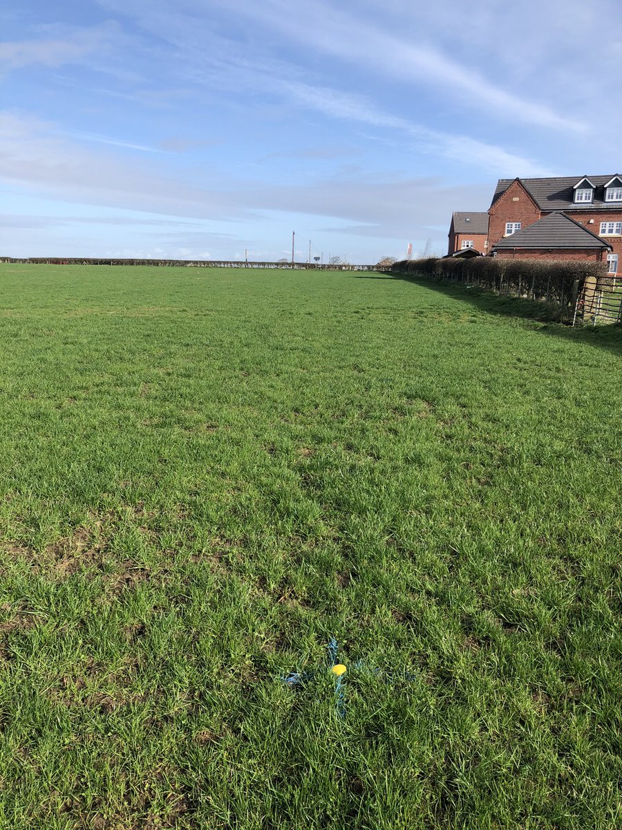 A_Sharkey67's tweet photo. How good is it to get out in the sun, site investigations at Inskip and Wheeton finishing at Wrea Green where the show home sub-structure is almost ready for bricklayers. https://t.co/UmhFrPg6t6