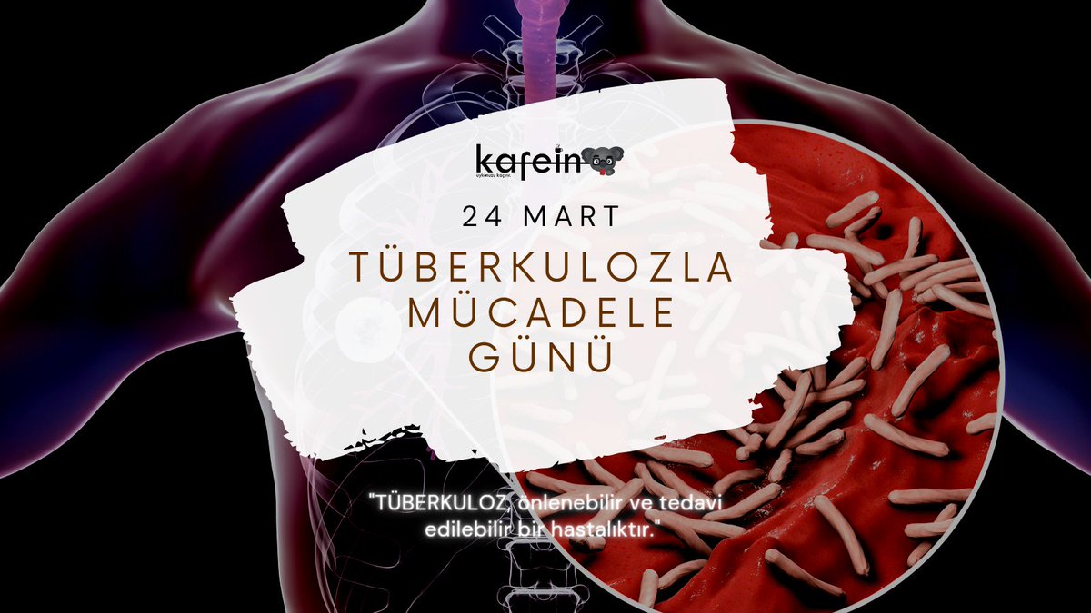 Kafein Dergi (@kafeindergi) on Twitter photo 