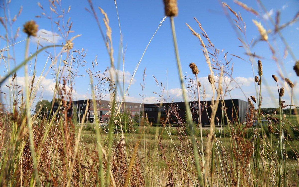 EverdenbergOost's tweet photo. Het #bedrijvenpark wil stimuleren dat bedrijven zelf #energie gaan opwekken, deels wordt dit gerealiseerd door een aantal voorwaarden welke op het bedrijventerrein gelden. 

Lees er alles over op onze #duurzaamheidspagina: https://t.co/oxdPuFqdZf https://t.co/gdZeVqBr9T