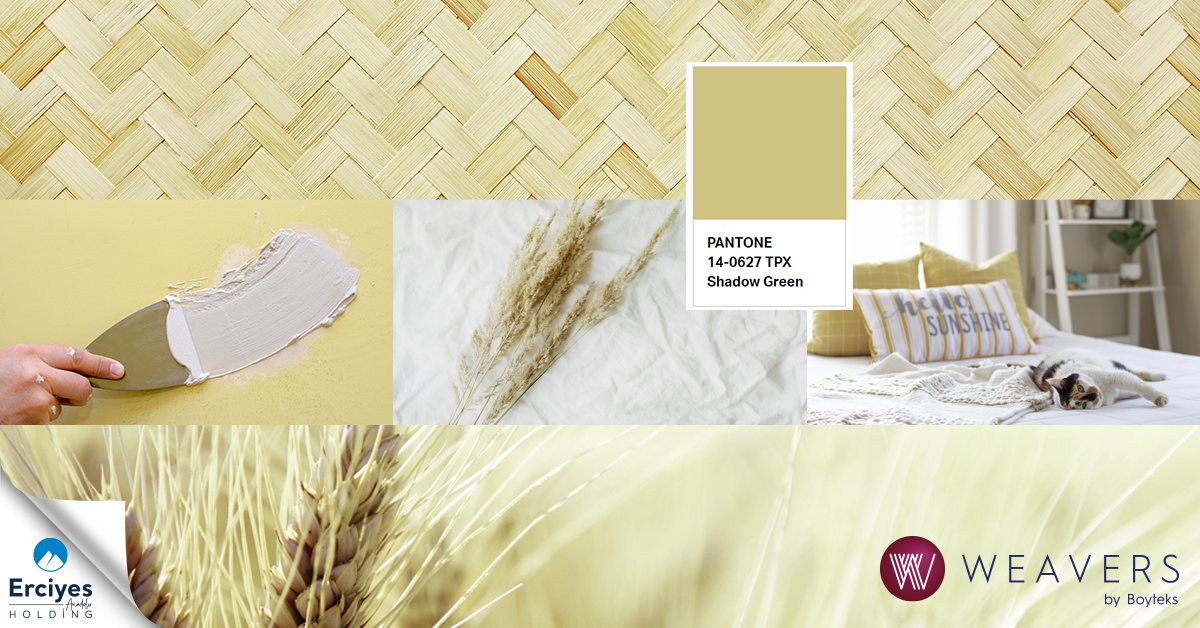 Weavers_Fabrics's tweet photo. A natural color born from the harmonious blend of a breeze blowing from fields of wheat with the brown tones of earth; Pantone Shadow Green!

#weavers #weaversfabrics #weaversbyboyteks #upholsteryfabrics  #technology #fabrics #trend #pantone #pantonecolors #ShadowGreen https://t.co/VcRIGUb5cF