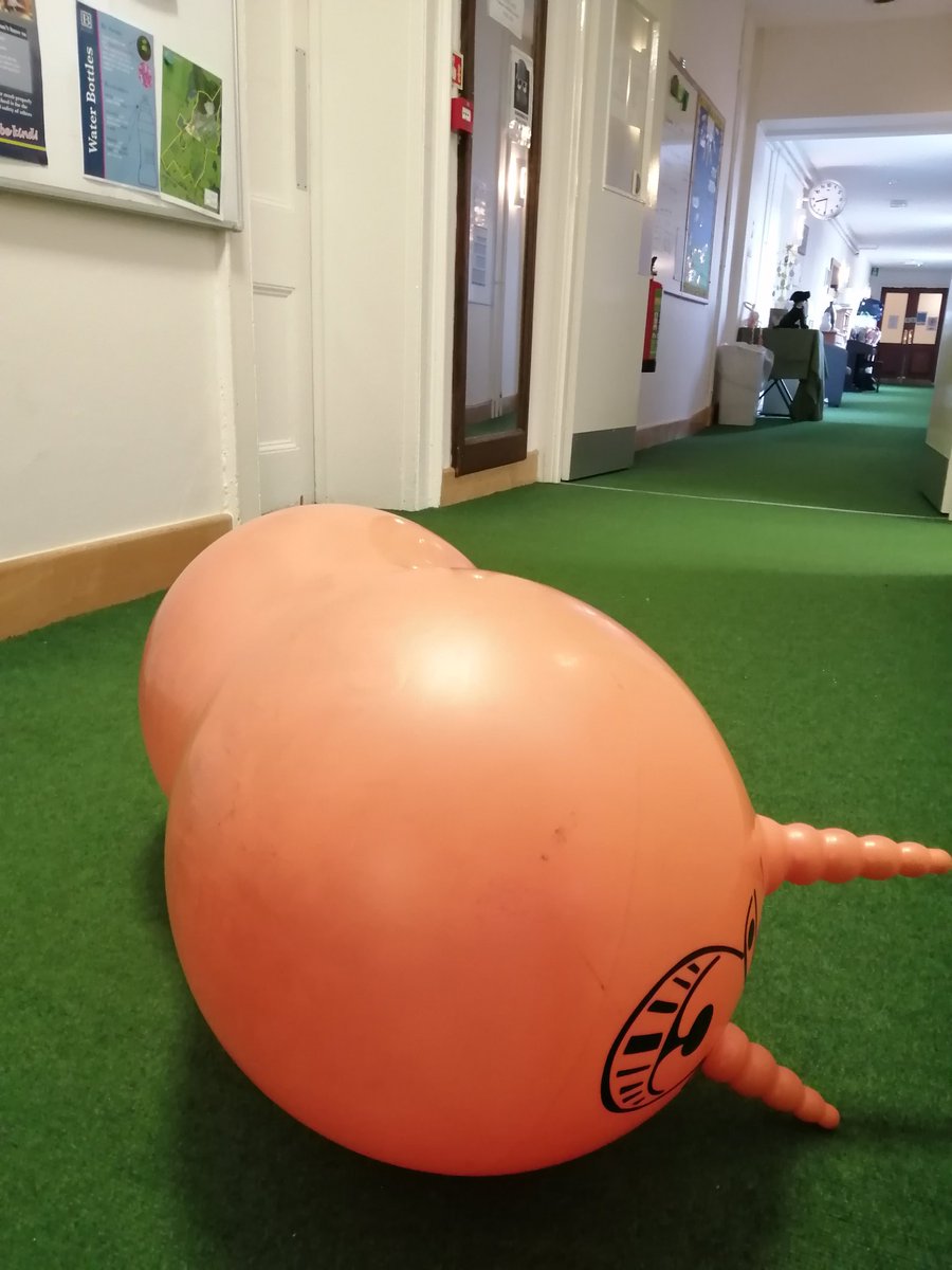 BenendenNorris's tweet photo. There's only way to start a Wednesday morning...space hopper racing with the UIV at 8am down the corridors 🦘🐸 https://t.co/J8vdpBQICq