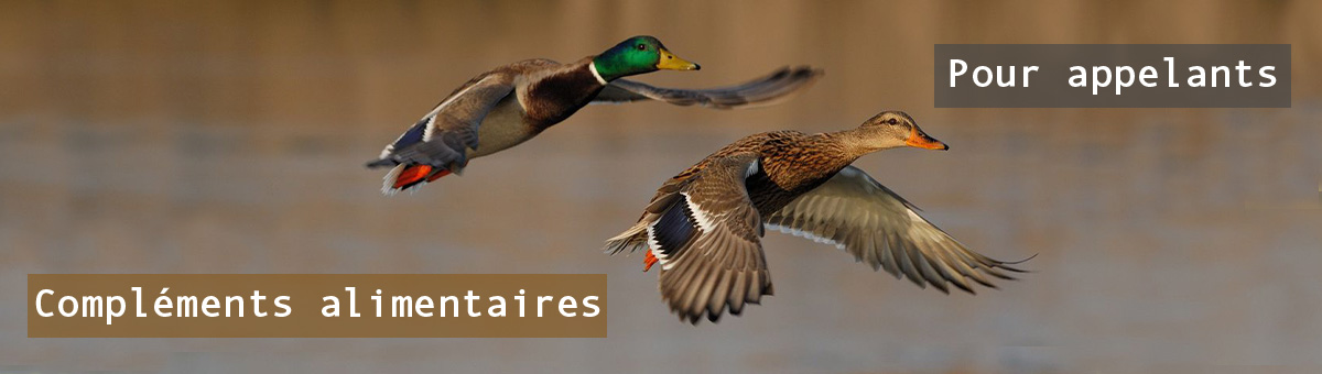 cotechasse's tweet photo. [BLOG] Partage d'infos et astuces pour la performance de la période de #reproduction pour continuer à prendre soin de vos oiseaux ... https://t.co/5UPhXNe6dj

Et vous, c'est quoi votre technique ?
#complementalimentaire #alimentcanard #côtérepro https://t.co/ZjPkYv9MQu