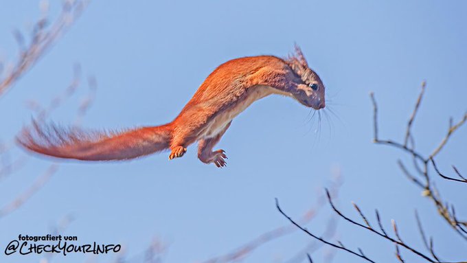 Georg L. tweet media