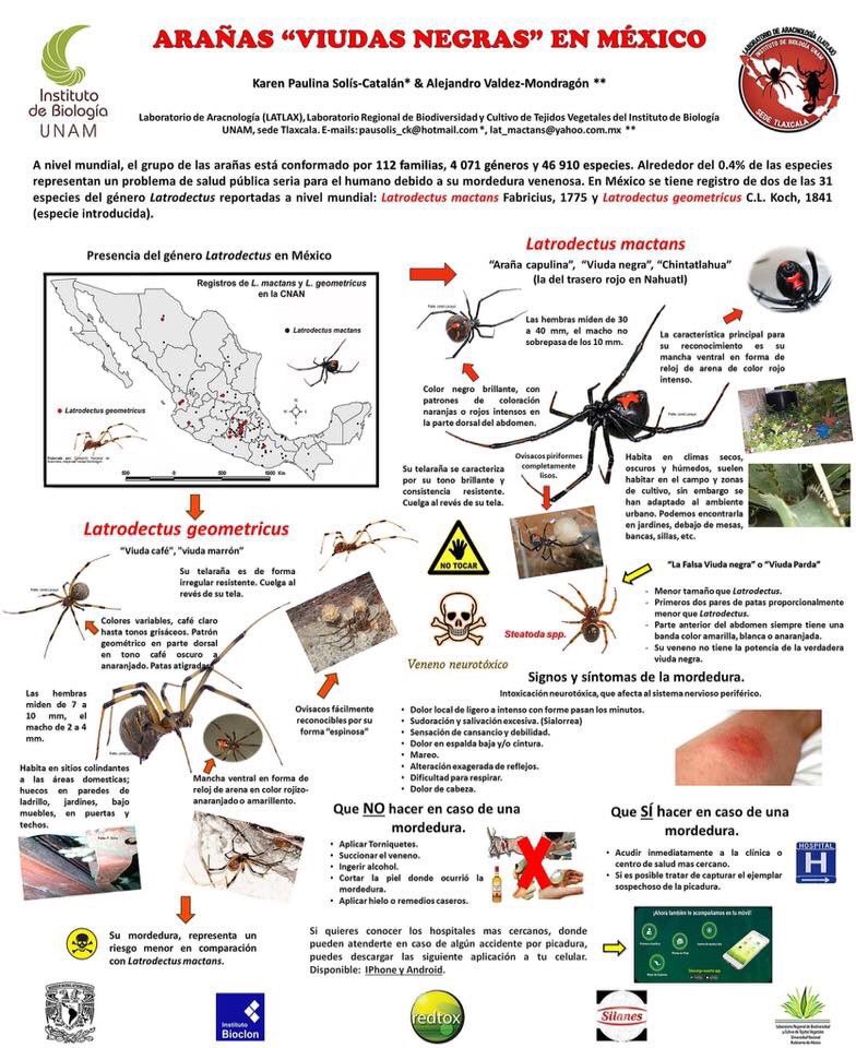 toxgloo's tweet photo. Excelente Infografia de Alejandro Valdes Mondragon 🕷🕸 Viudas Negras en México #WakandaUrg https://t.co/L2wTKE6GcB
