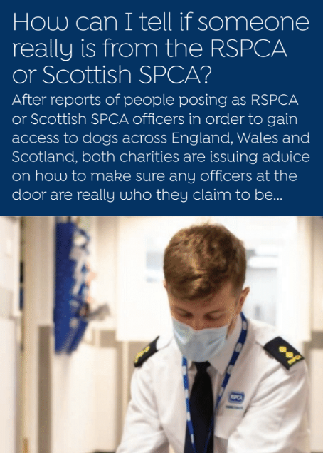 Pet thieves have been posing as RSPCA or SSPCA officers in order to gain access to people's pets. In our April issue, we explain everything you need to look out for in order to make sure you're not dealing with an imposter: bit.ly/3scIVot