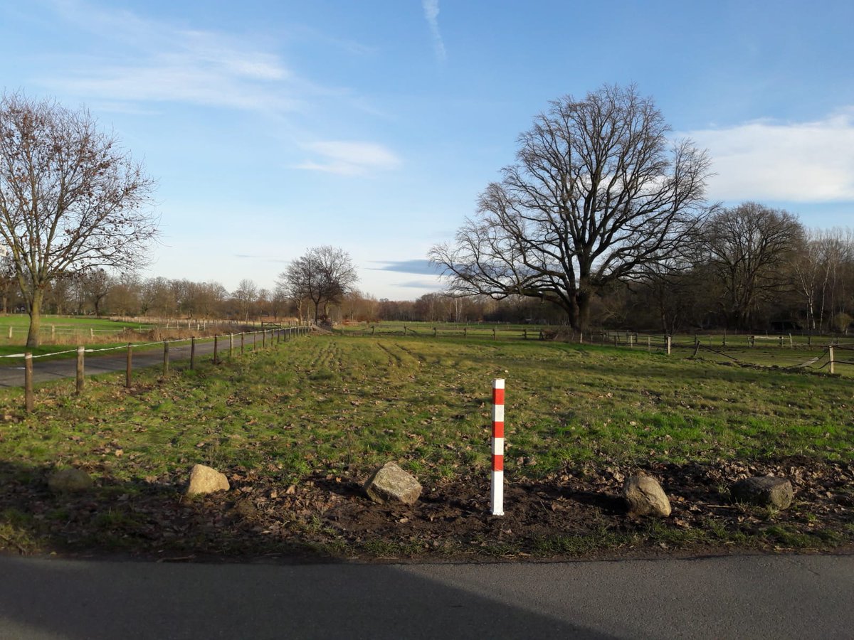 EnergyNeptune's tweet photo. 17 Bäume haben wir für die Streuobstwiese der Dorfgemeinschaft Mardorf am Steinhuder Meer gespendet. Jetzt konnten sie gepflanzt werden. Seit über 80 Jahren werden ganz in der Nähe Kohlenwasserstoffe gefördert. https://t.co/OH7cRJITgc #neptuneenergy #nachbarschaft #verantwortung https://t.co/gtr8hF07tF