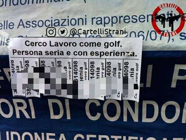 CartelliStrani's tweet photo. Un lavoro immerso nel verde

#CartelliStrani https://t.co/sxhpNc5cr6 https://t.co/OG60J05Qbh