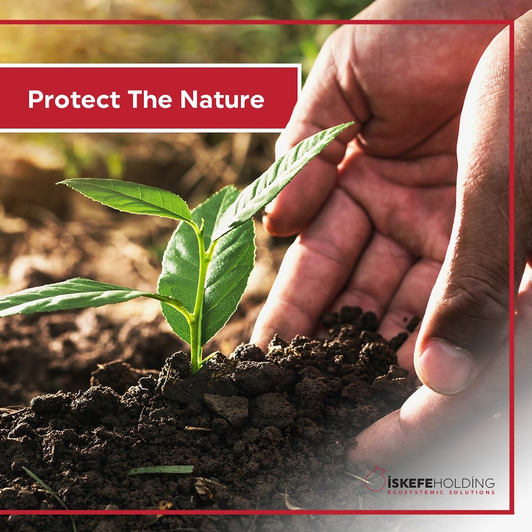 iskefeholding's tweet photo. As İskefe Holding, we care about strengthening our employee profile with
understanding of working respectedly to nature. We also care about working in
this direction. https://t.co/j4stSOoils