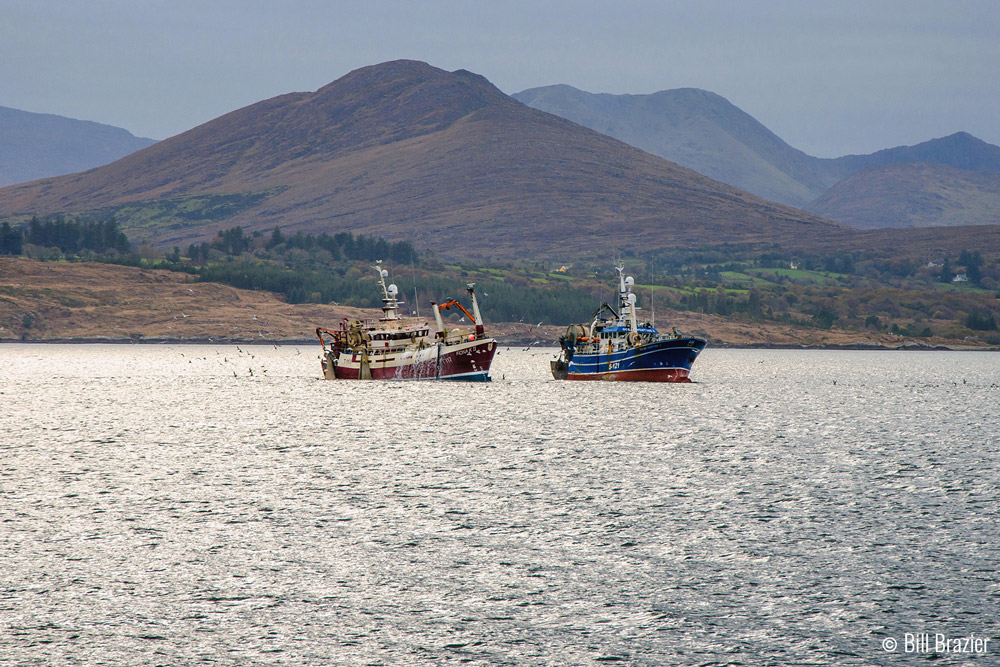 OfftheScale_mag's tweet photo. Good news (for now). Following appeal by @McConalogue, Court of Appeal has temporarily reinstated Policy Directive excluding large vessels (≥18m) from 6mile limit. This will apply at least until full hearing in June. Hope for a permanent restriction then https://t.co/8qZ2yHh3QS https://t.co/ylV3C83CES