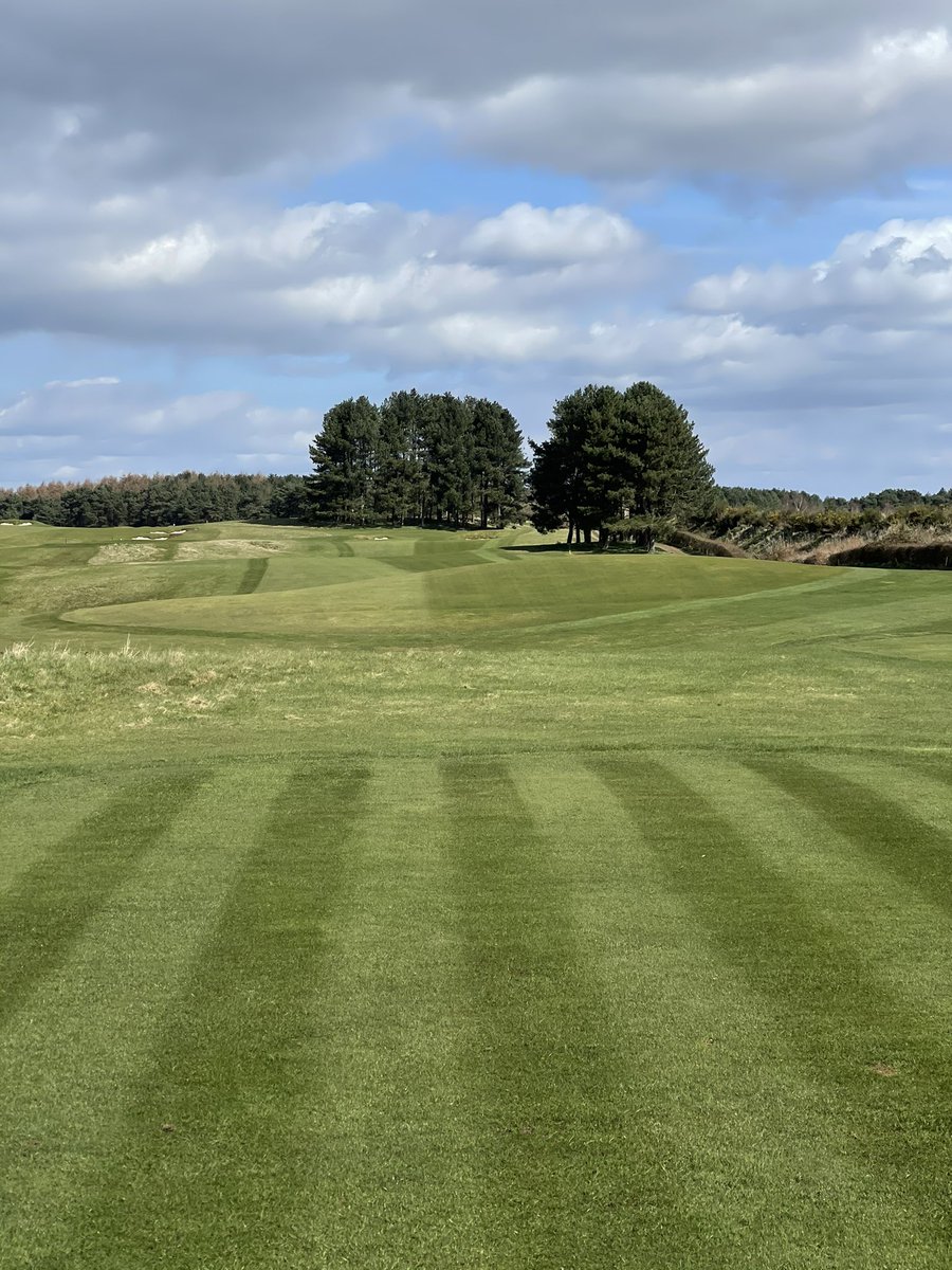 Delamere Forest GC Greens tweet media