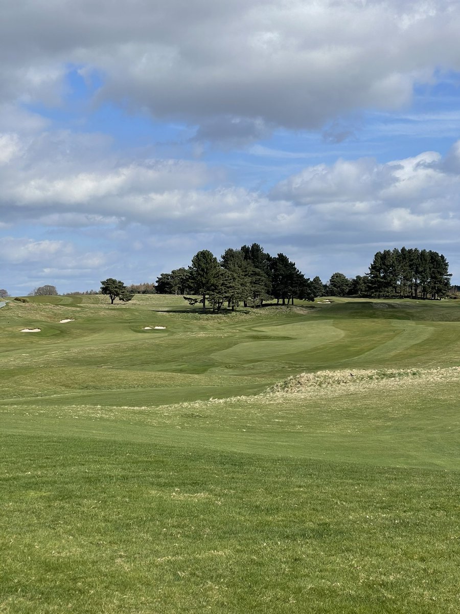 Delamere Forest GC Greens tweet media
